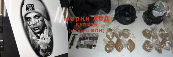 стафф Алексин