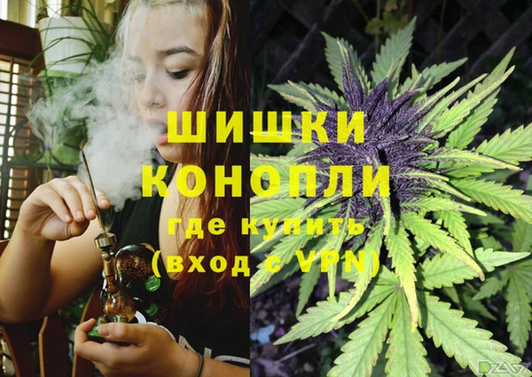 амф Алзамай