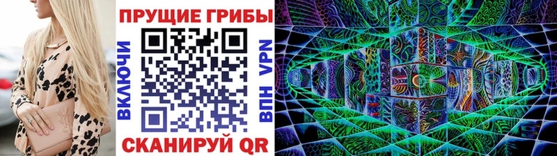 купить наркотик  Ставрополь  Псилоцибиновые грибы Psilocybe 